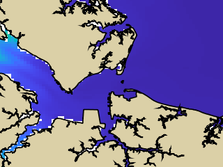 VIMS jellyfish map for today, Hampton