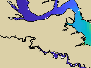 VIMS jellyfish map for today, King George County