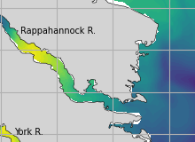 NOAA Rappahannock River jellyfish map for today, Lancaster County
