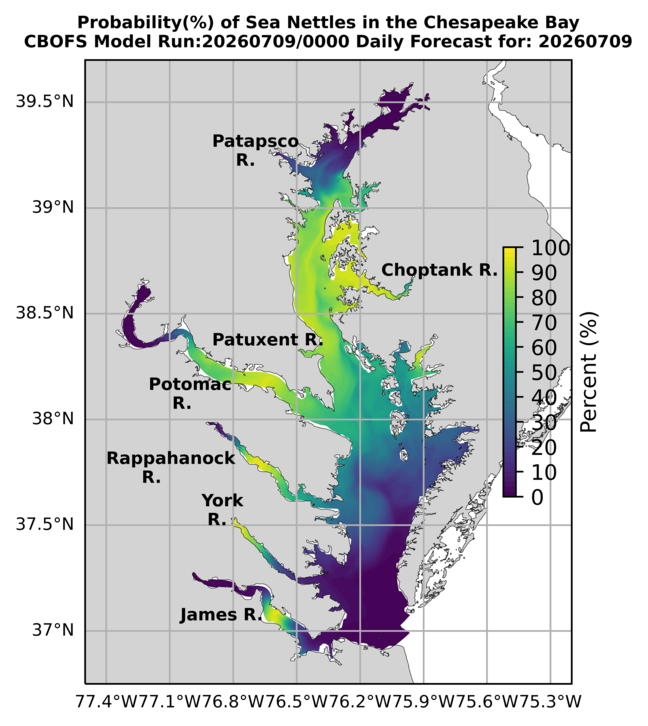 NOAA Full Bay jellyfish map for today, Virginia