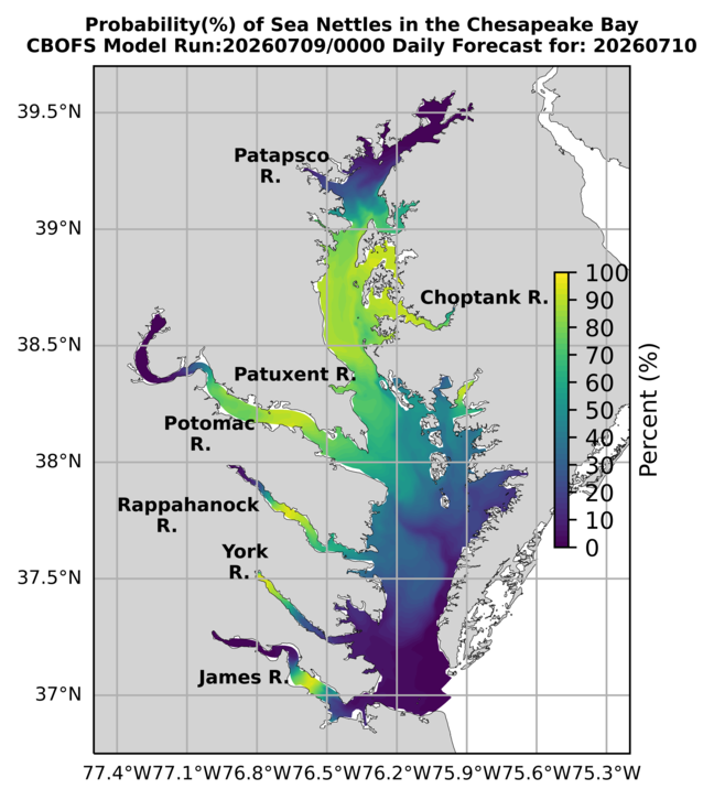 NOAA Full Bay jellyfish map for tomorrow, Virginia