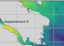 NOAA Rappahannock River jellyfish map for today, Northumberland County